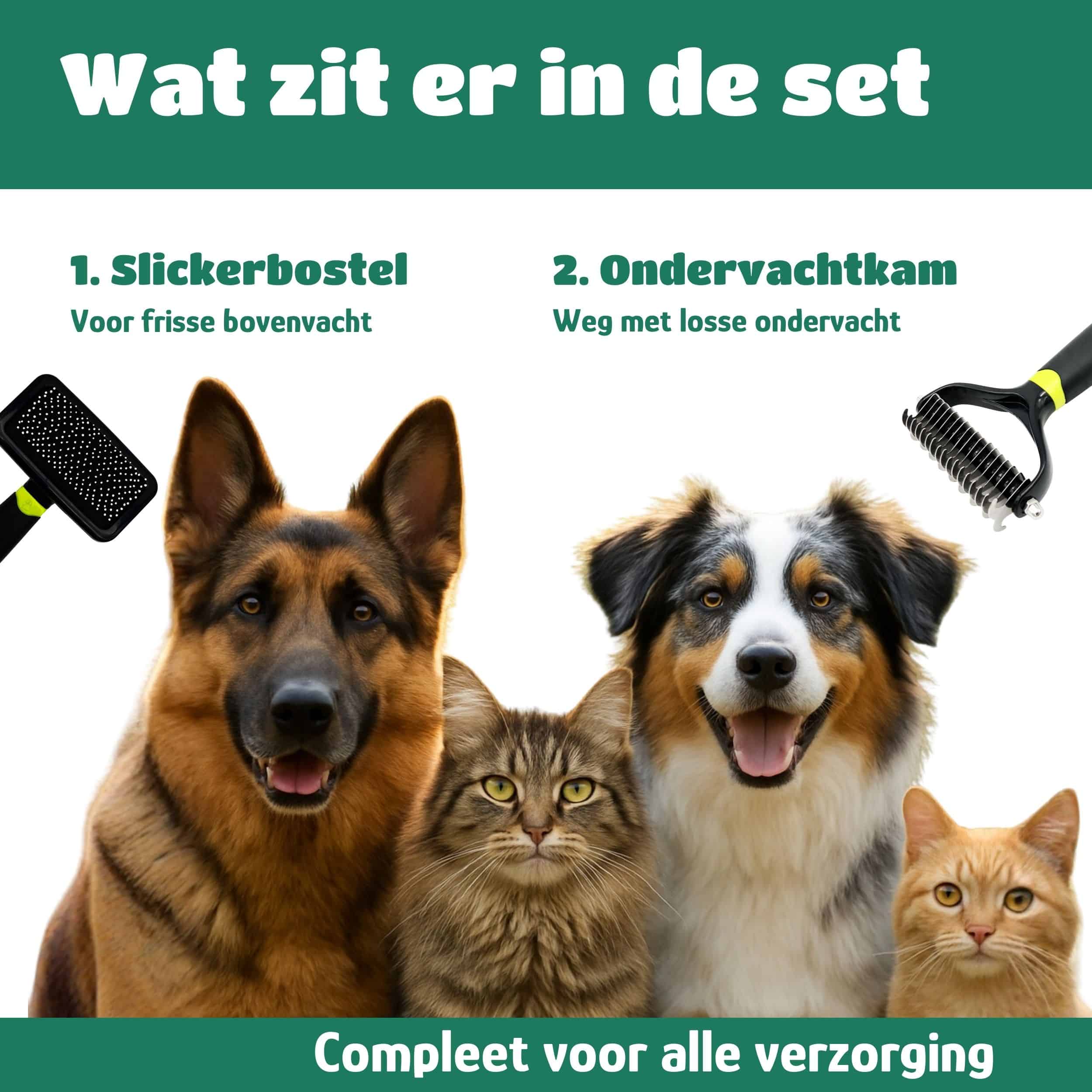Set voor huisdierenverzorging met kam en slickerborstel voor hond en kat.