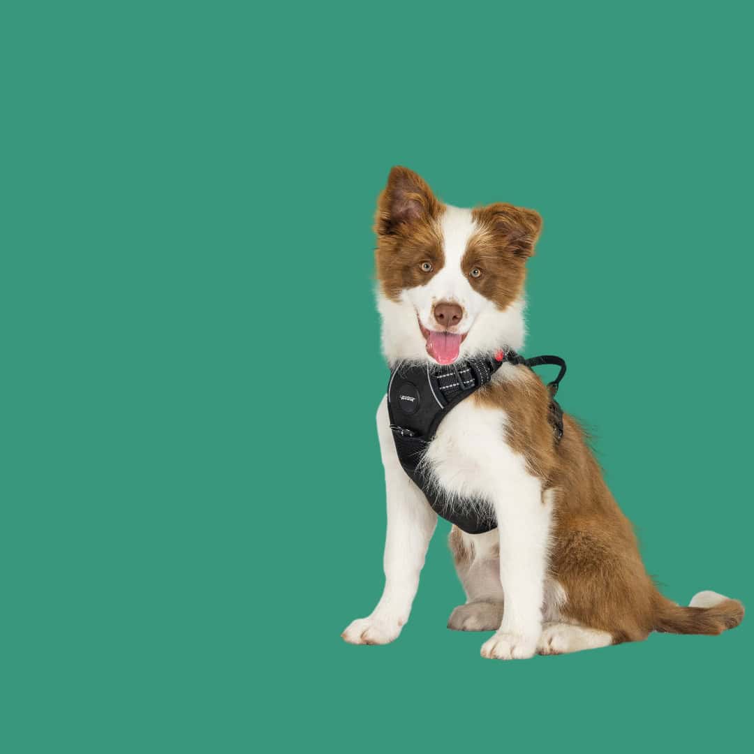 Black Friday Deal: 15% op alles! Tot en met 30 november 2025