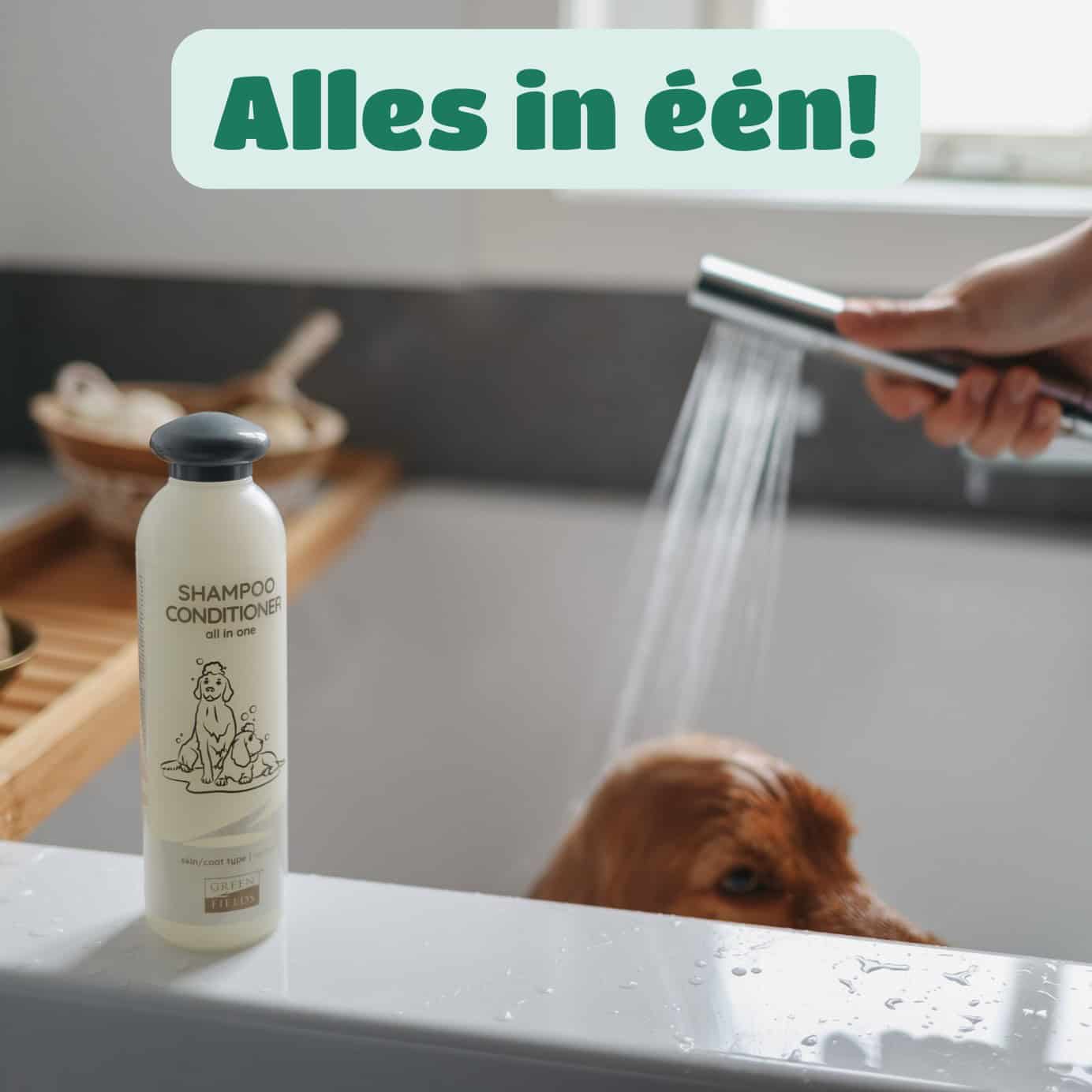 Alles in een!