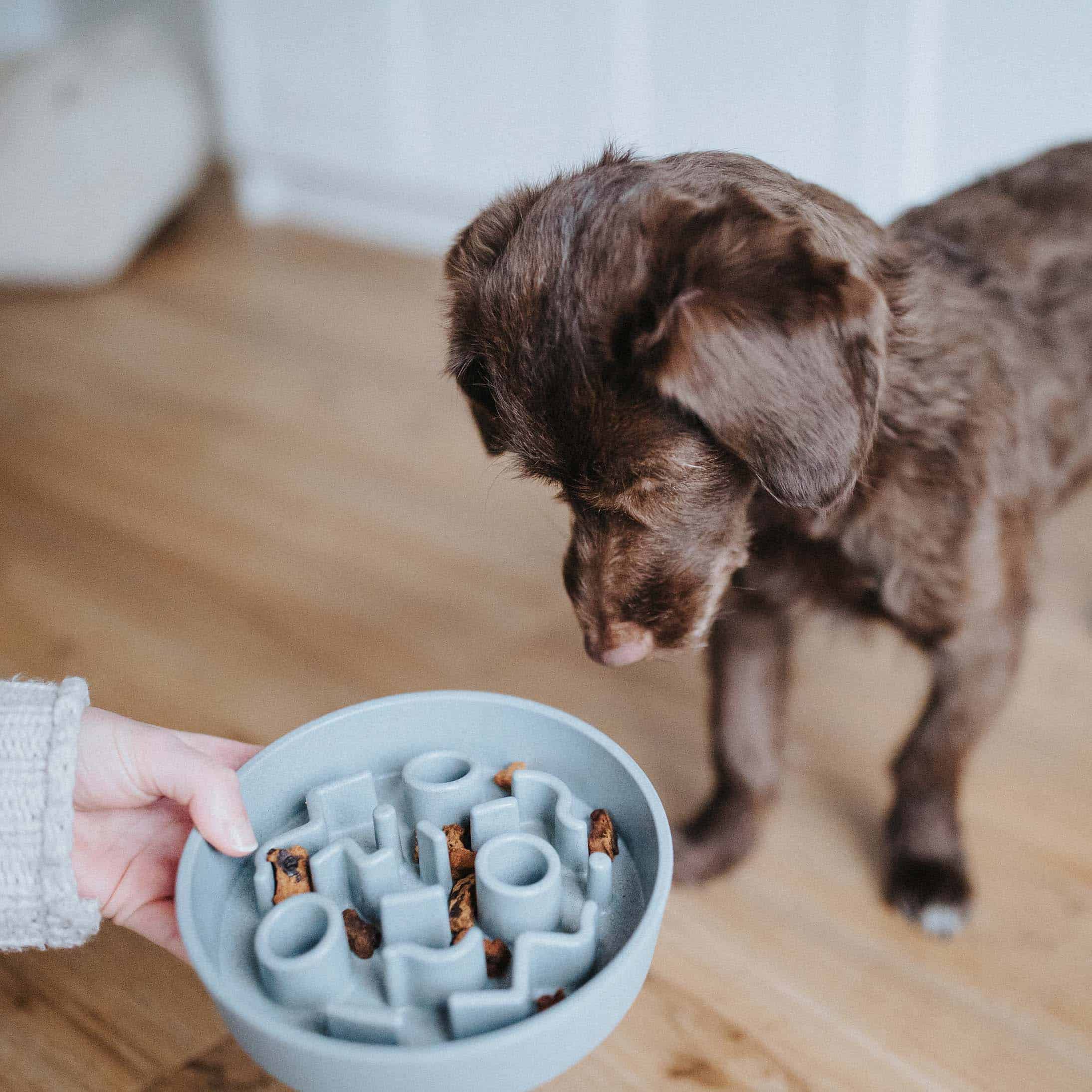 ditsrict70-bamboo-voerbak-slowfeeder-Merengue SLOWFEEDER-17CM_8