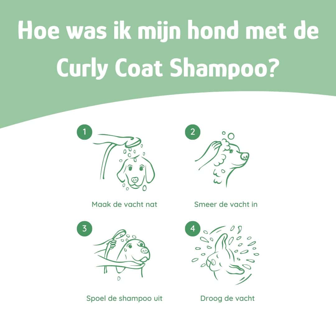 Hoe was ik mijn hond met de curly coat shampoo