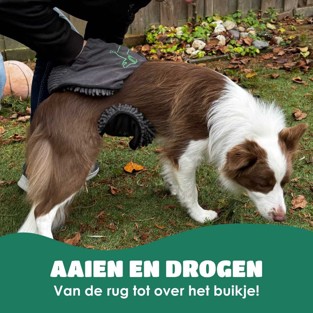 Mister Mill Handdoek Hond Om de hond heen
