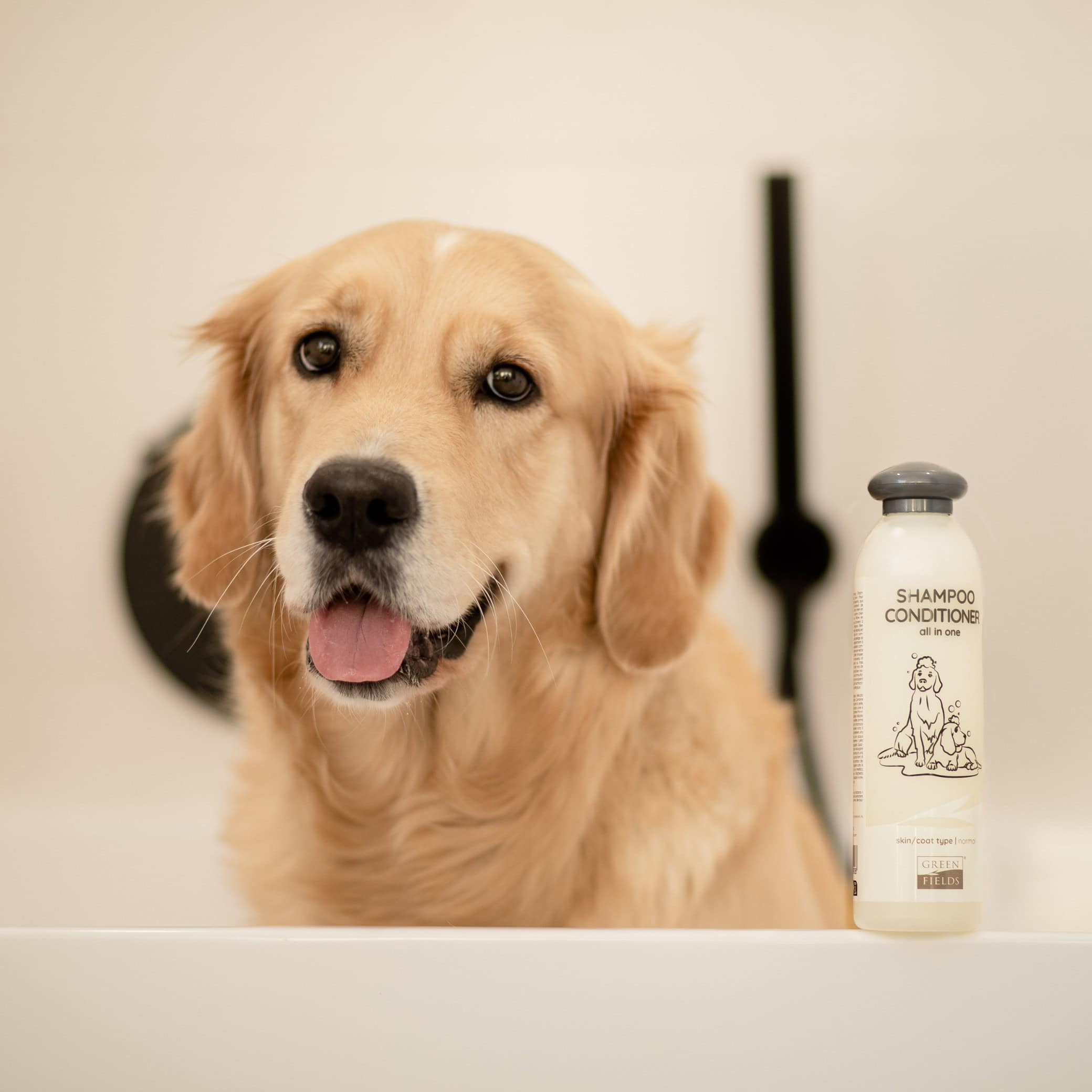 Greenfields Shampoo en conditioner all in one badrand l