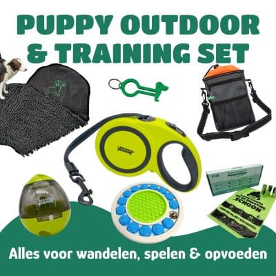 Puppy Outdoor en Training Set