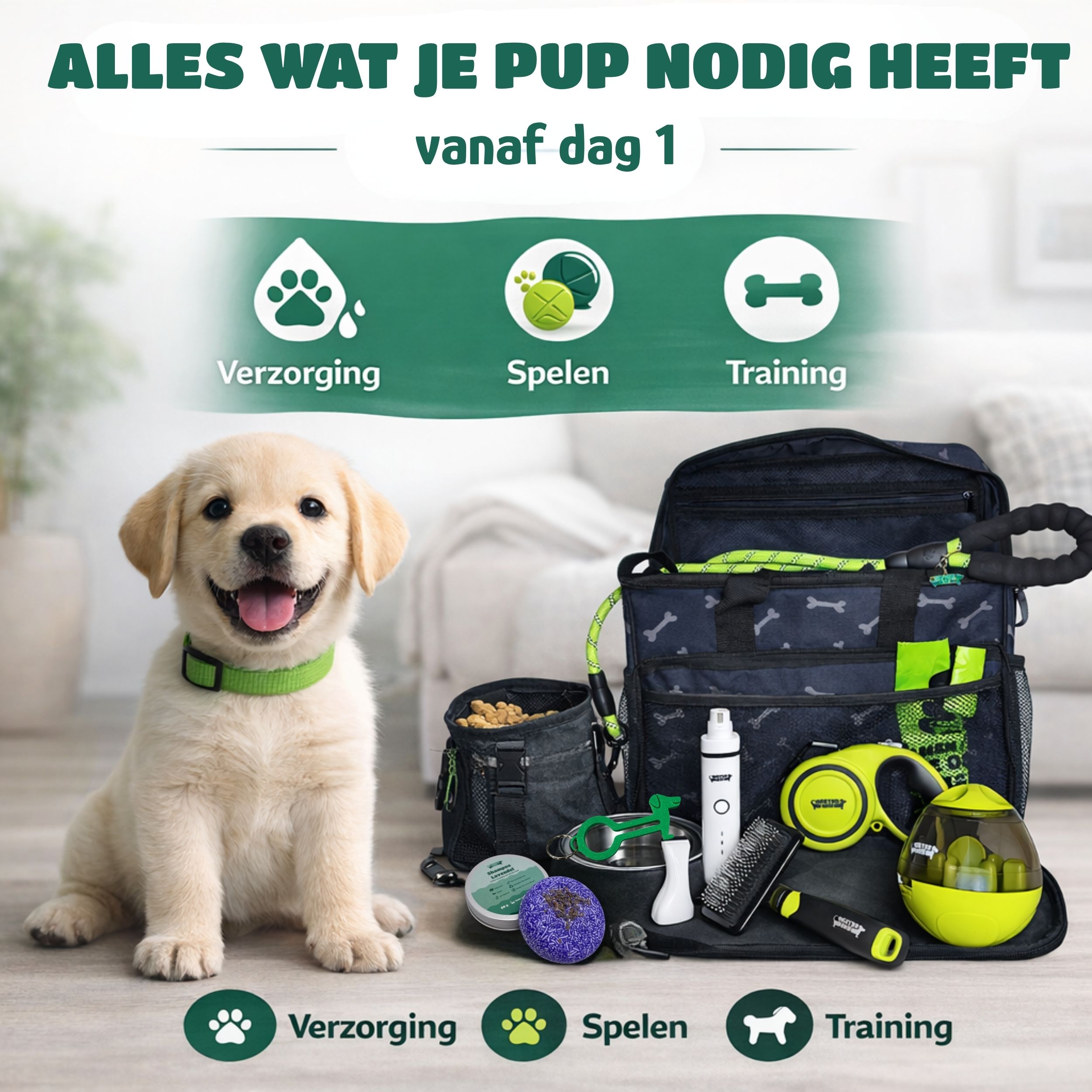 Schattige puppy met verzorgings- en trainingsspullen.