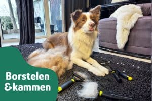 Slickerborstel gebruiken zonder trekken of klitten