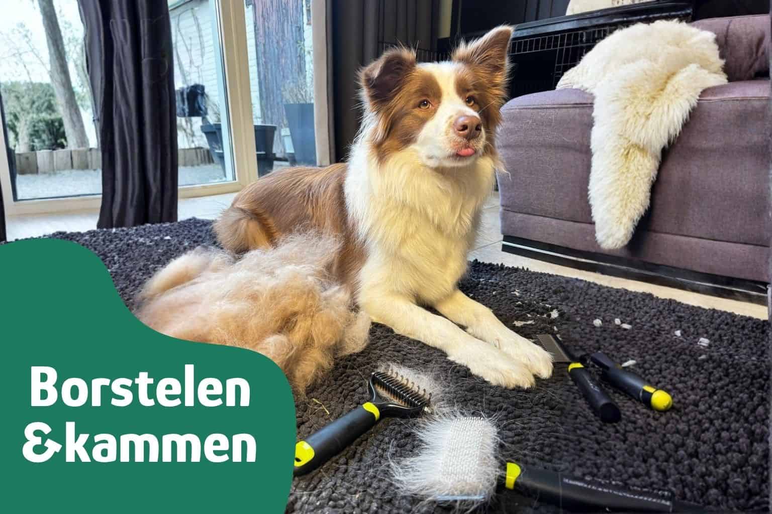 Slickerborstel gebruiken zonder trekken of klitten