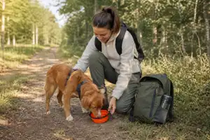 Hond voorbereiden op lange wandeling: praktische tips