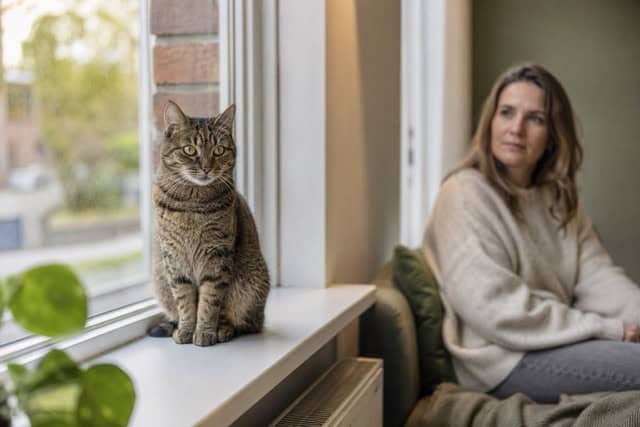 Komen katten altijd op hun pootjes terecht?